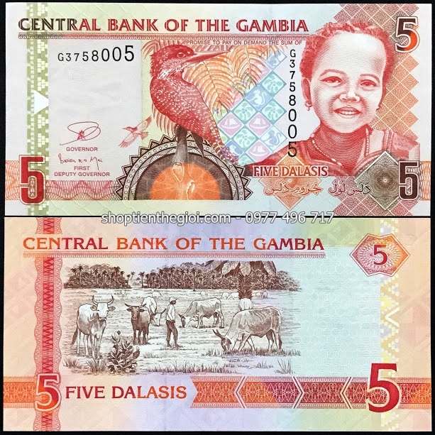 Dalasis 2015 UNC Polymer